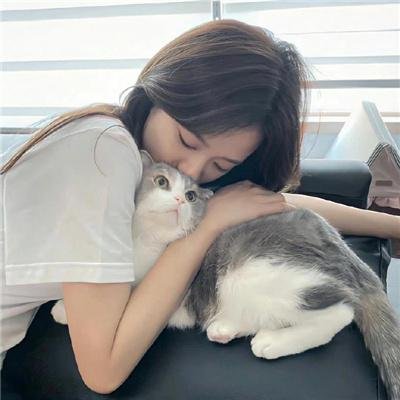 秦时明月之龙腾万里